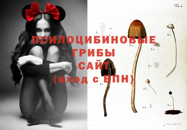 СК Киренск